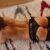 Ataşehir Escort'undan Olağanüstü Bir Vücutla Güzel Göz Alıcı - Image 2 Ataşehir Escort'undan Olağanüstü Bir Vücutla Güzel Göz Alıcı - Image 2